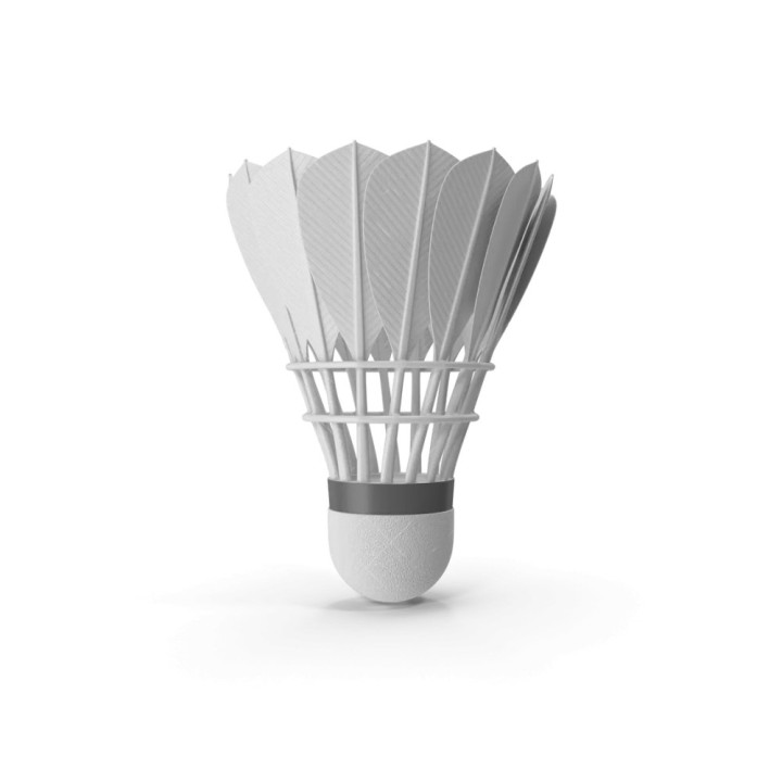Volants de badminton plumes (x6)
