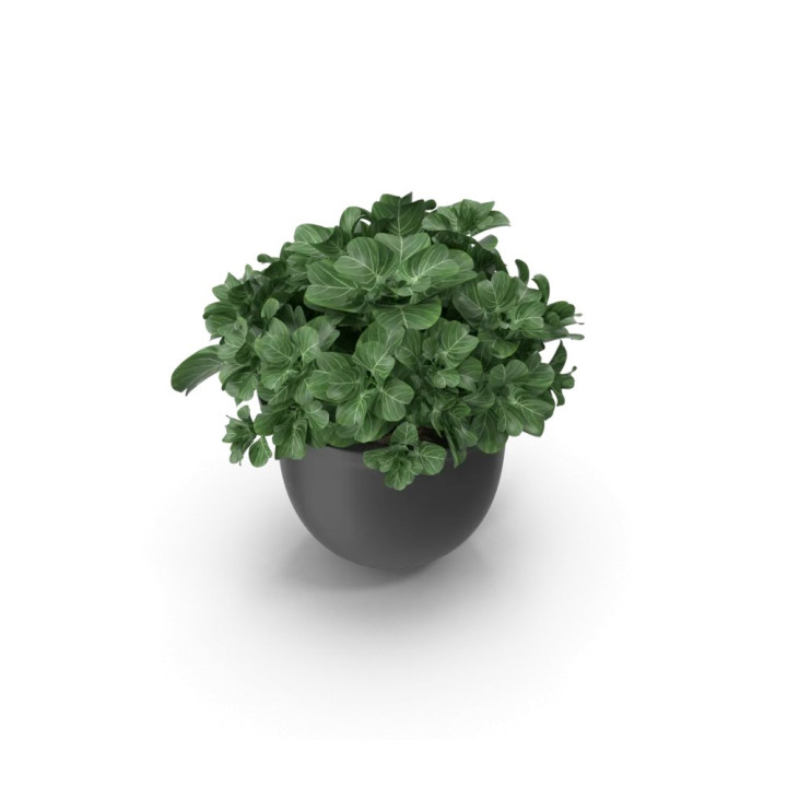 Cache-pot en céramique