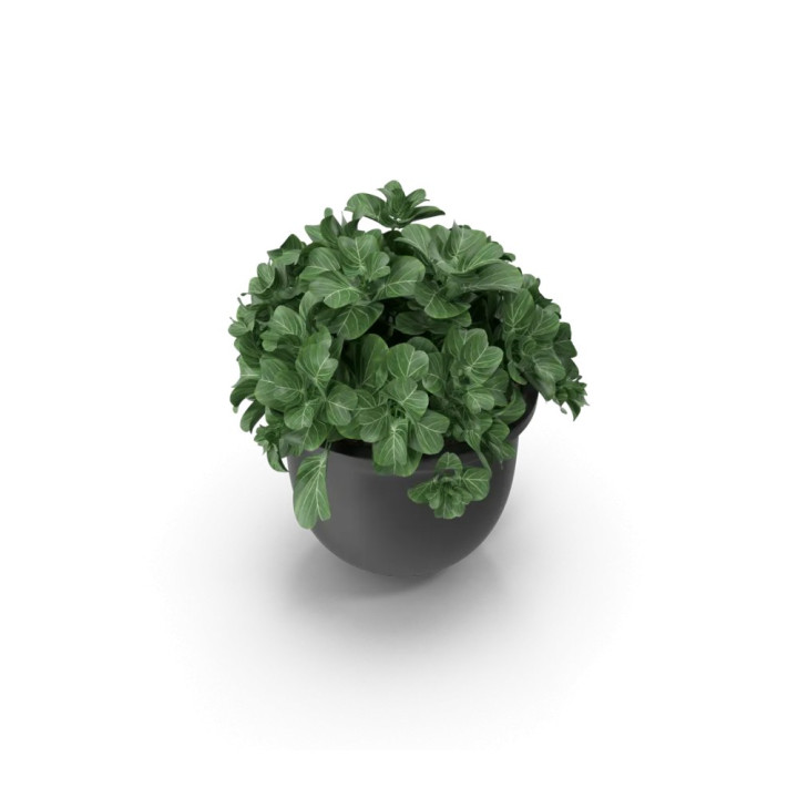 Cache-pot en céramique
