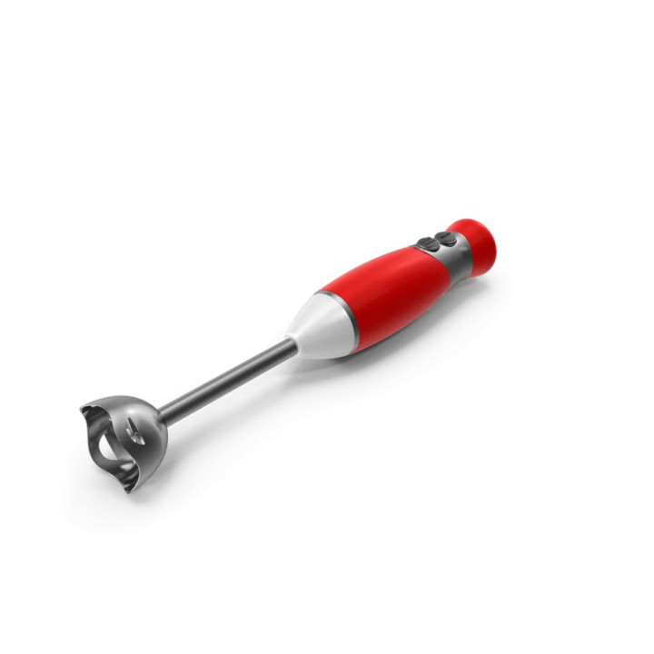 Mixeur plongeant inox